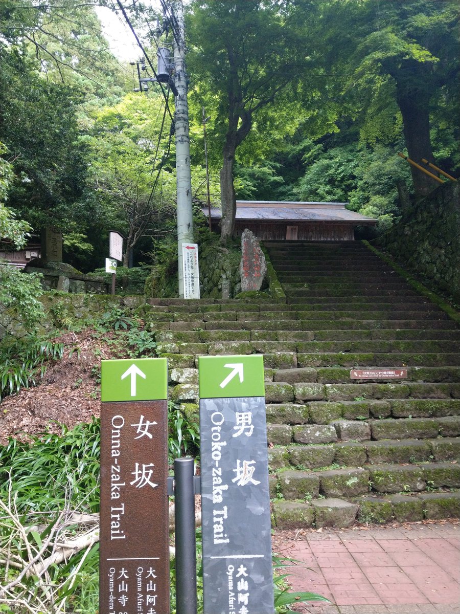Mountain Shrine Trail, Kanagawa — Summer Green in June