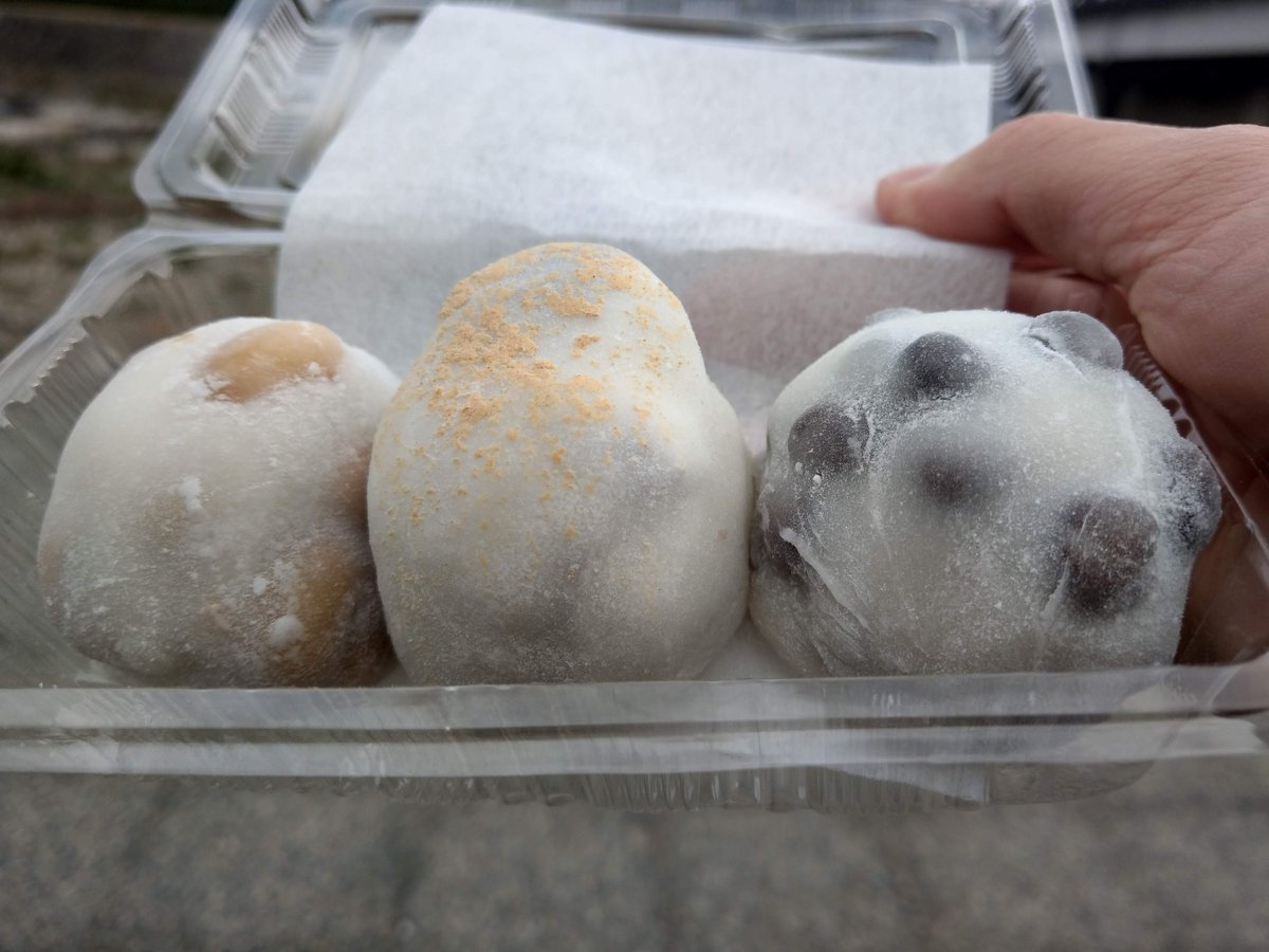 Kyoto Street Snack: Takoyaki from Tanaka-Shimoyanagicho photo 5